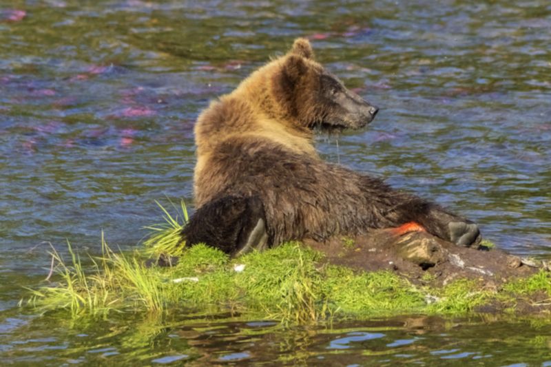 Солнечные ванны фото превью