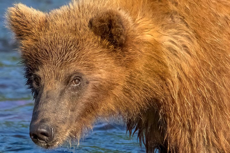 А ты кто? фото превью