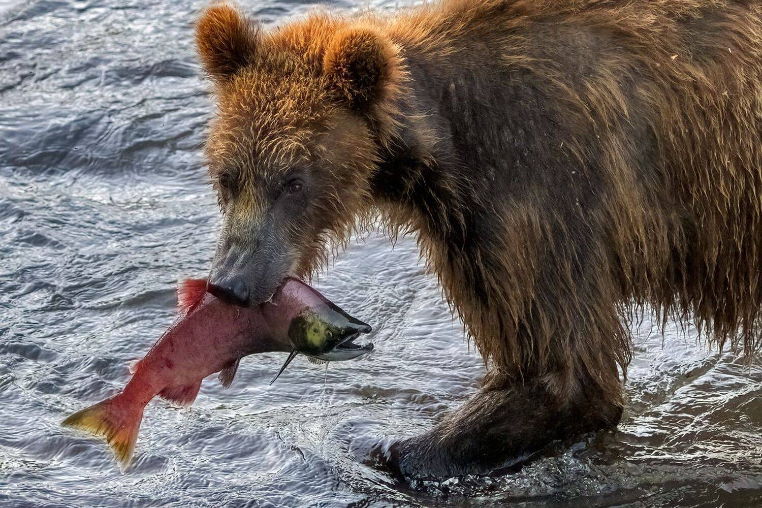 , Юрий Гордонов