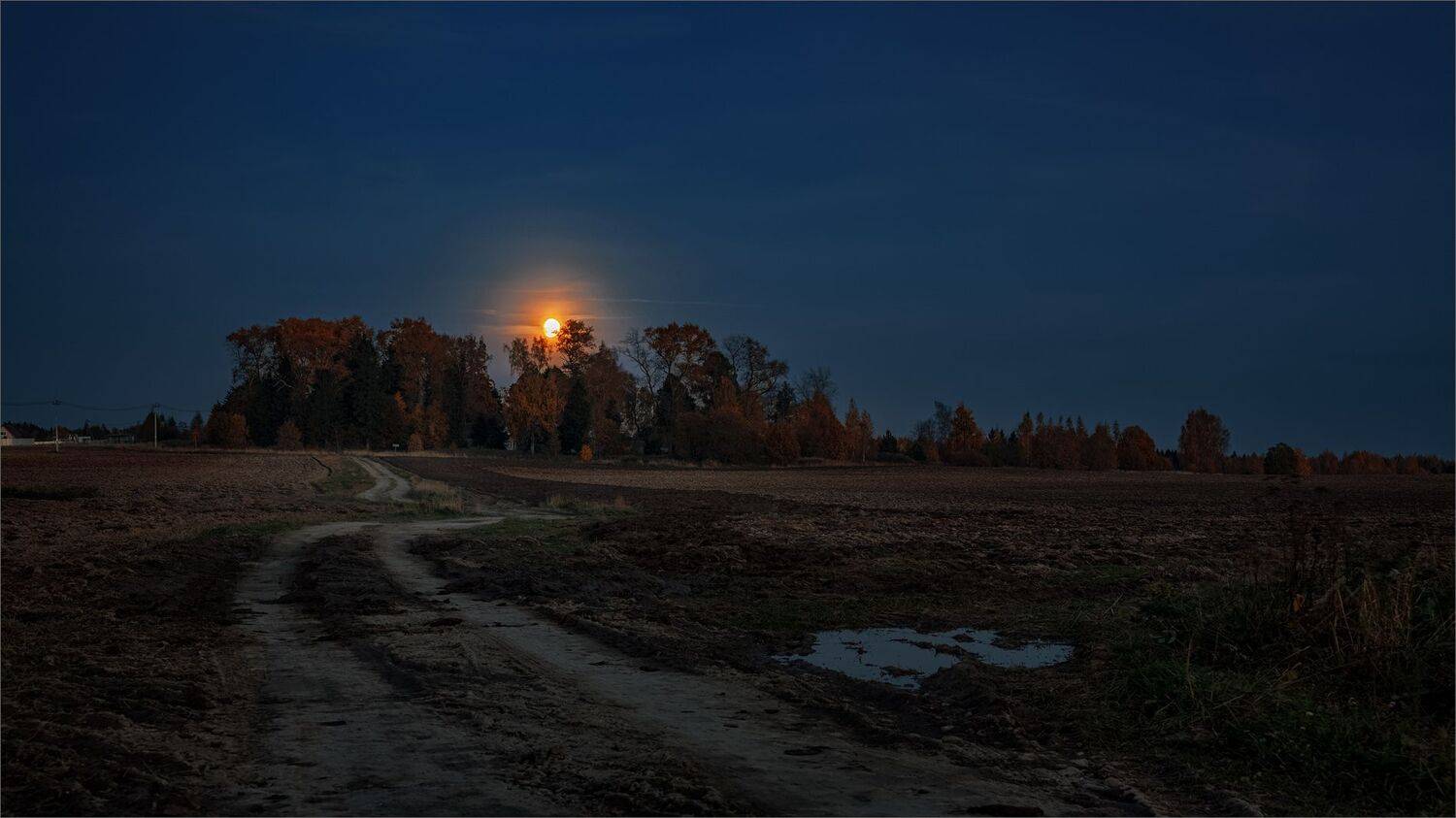 пейзаж, ночь, осень, луна, деревня, поле, дорога, свет, цвет, александр никитинский, Никитинский Александр