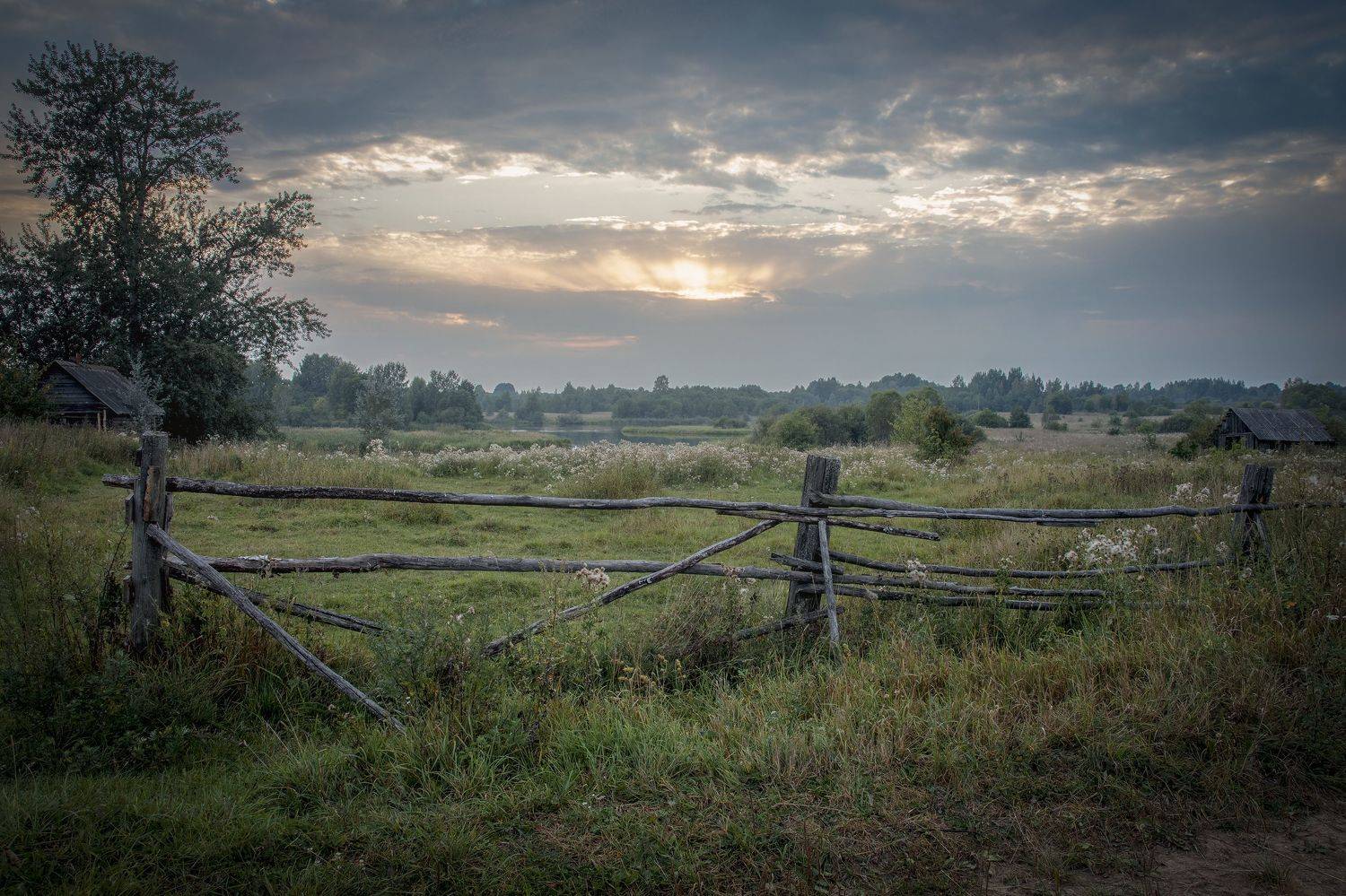 тверская, область, Гусева Елена