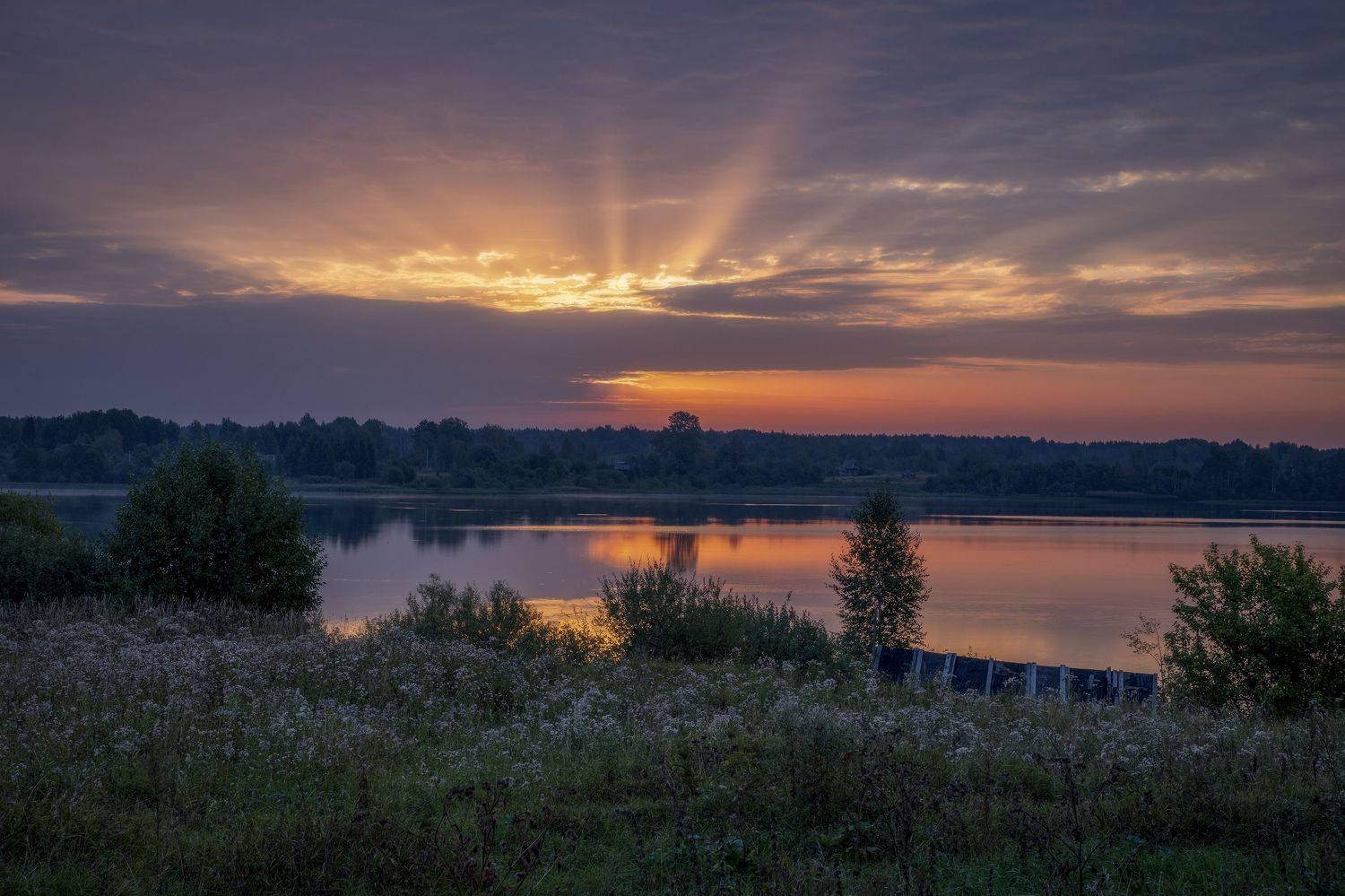 тверская область, Гусева Елена