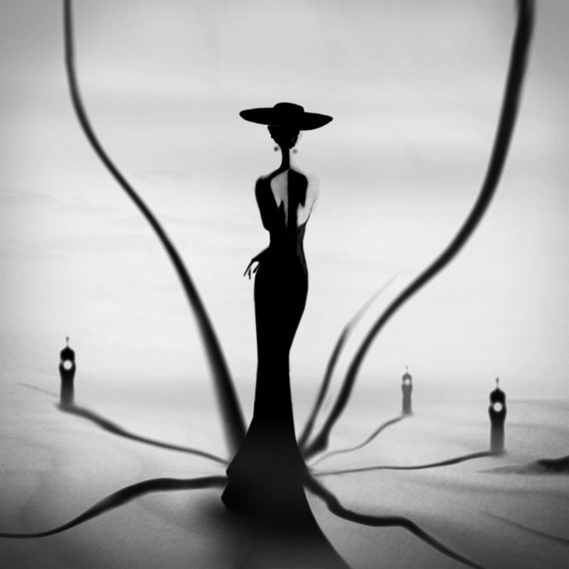 *** фото превью