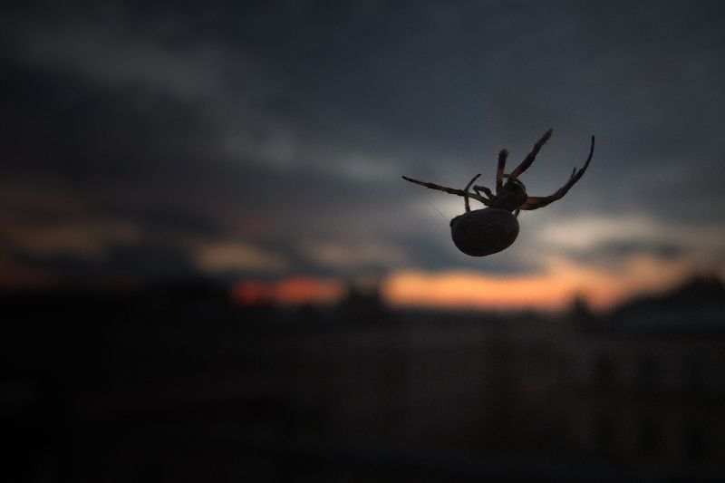 deep.spb **** фото превью