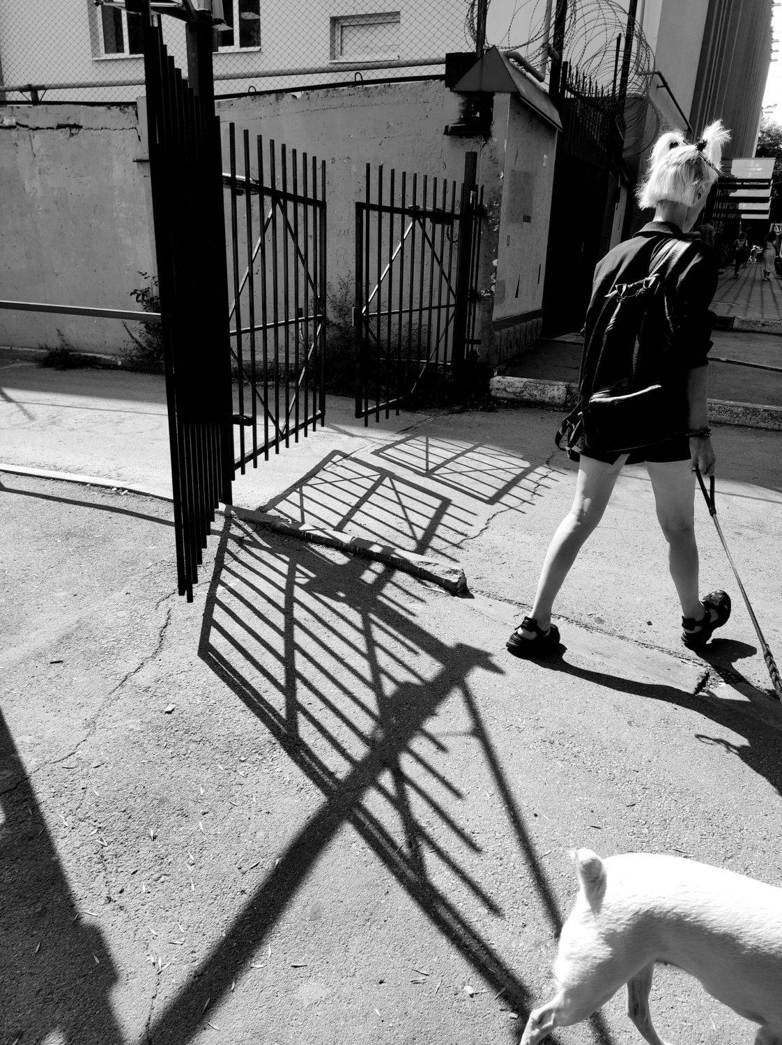 ponytails, b&w, жанр, стрит, хвостики, Karina Yakovleva