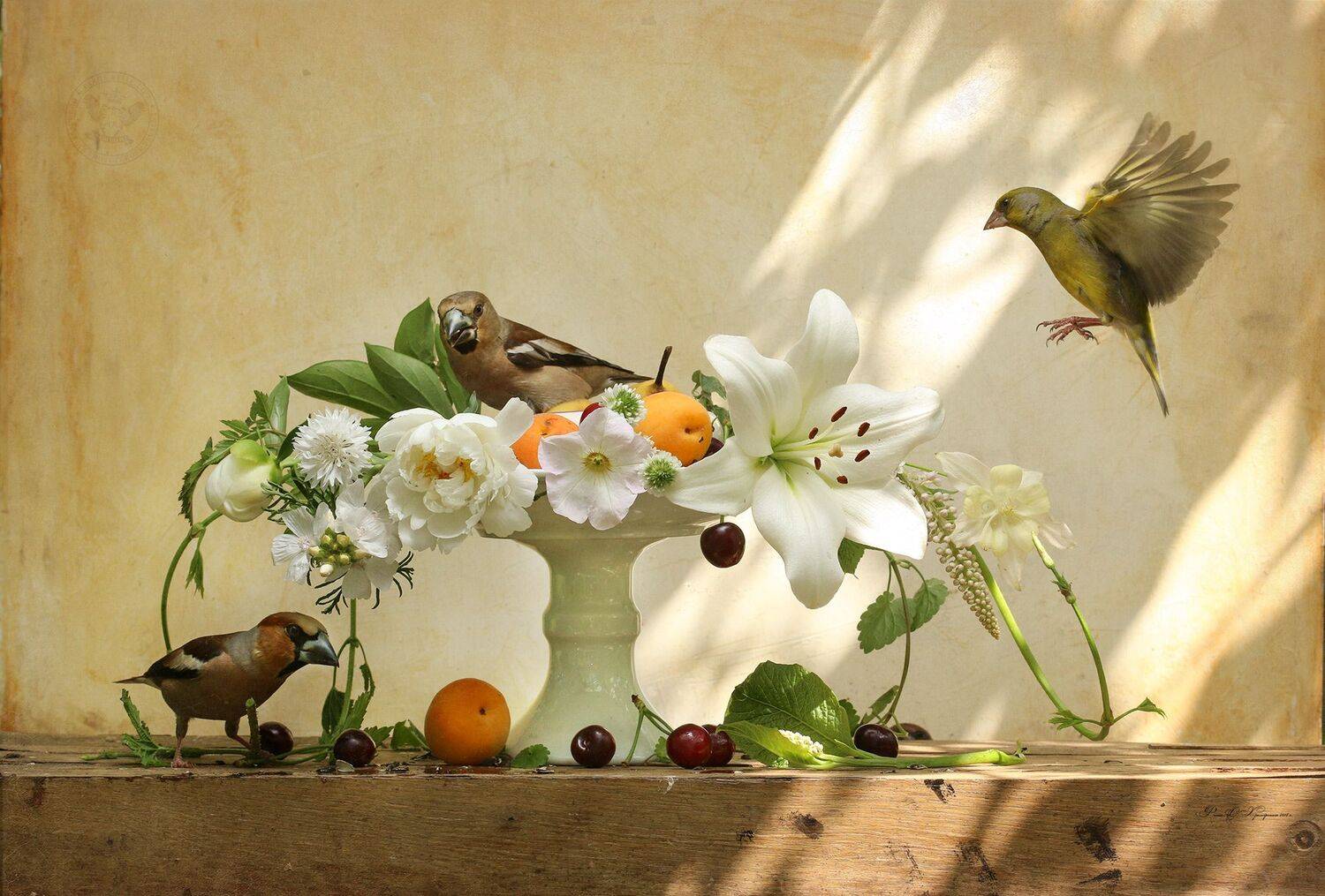 дубонос, зеленушка, Хромушин Олег