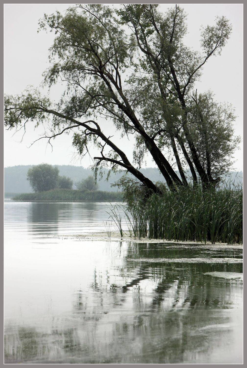 , Владимир Краснов