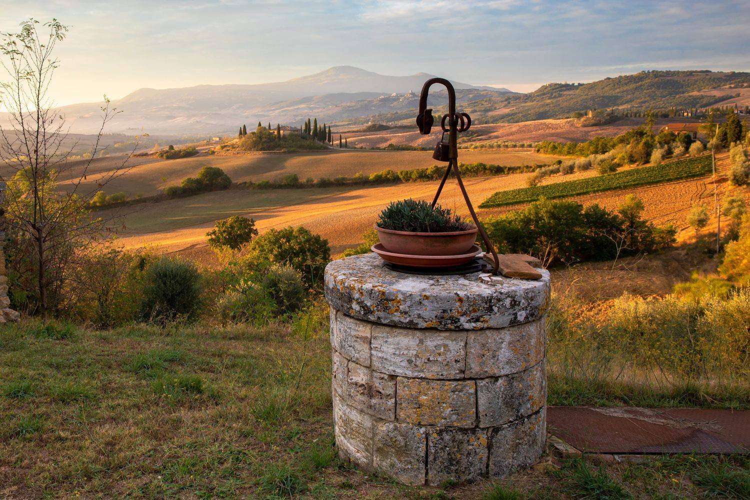 , Евгения Чех