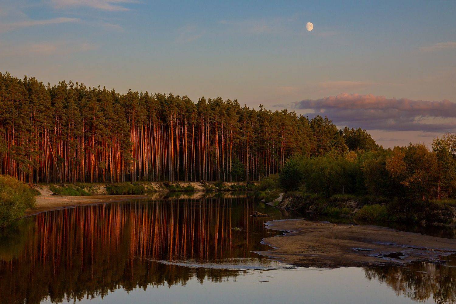 , Чудинин Дмитрий