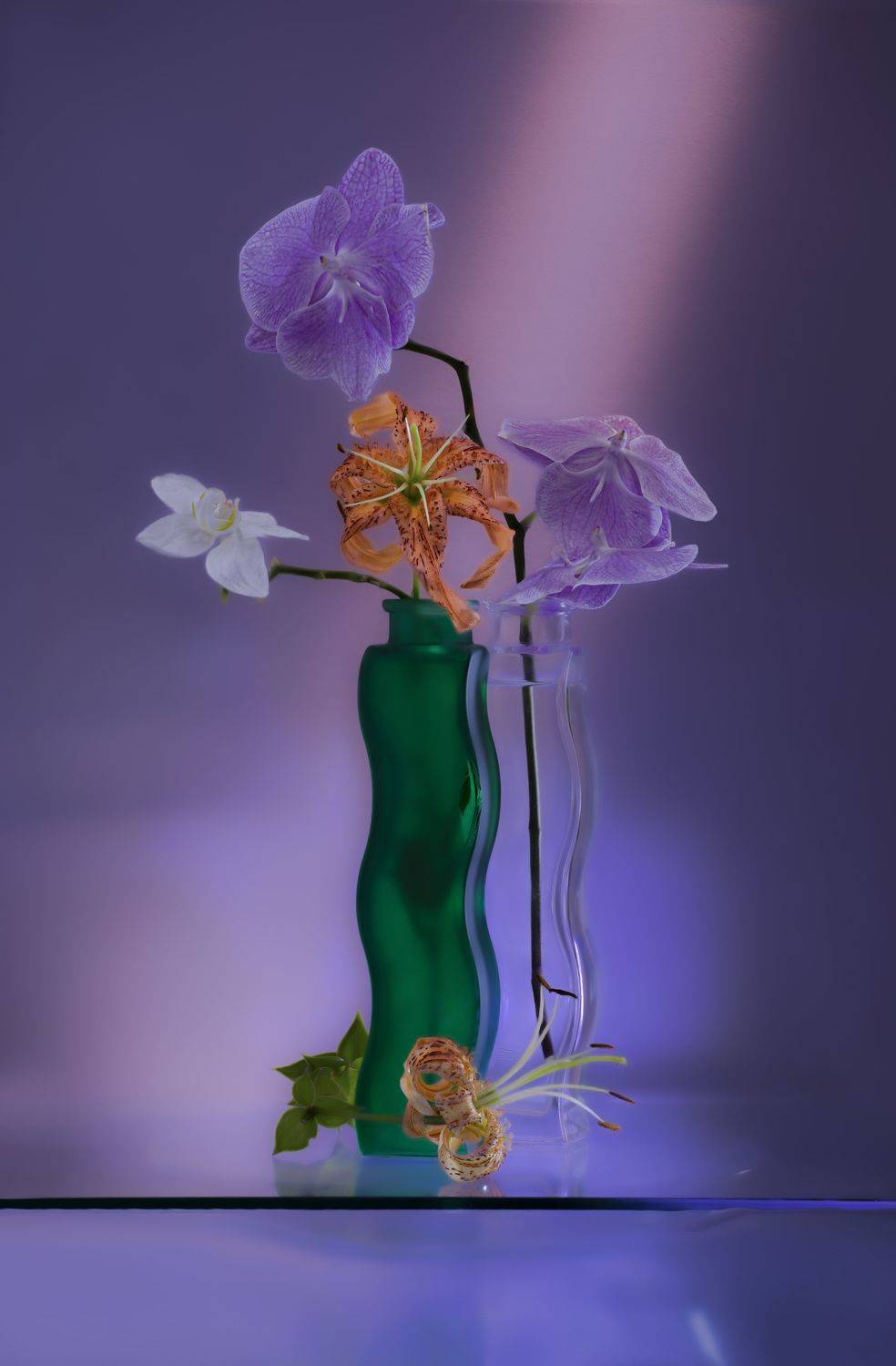 , Черновол Валентин