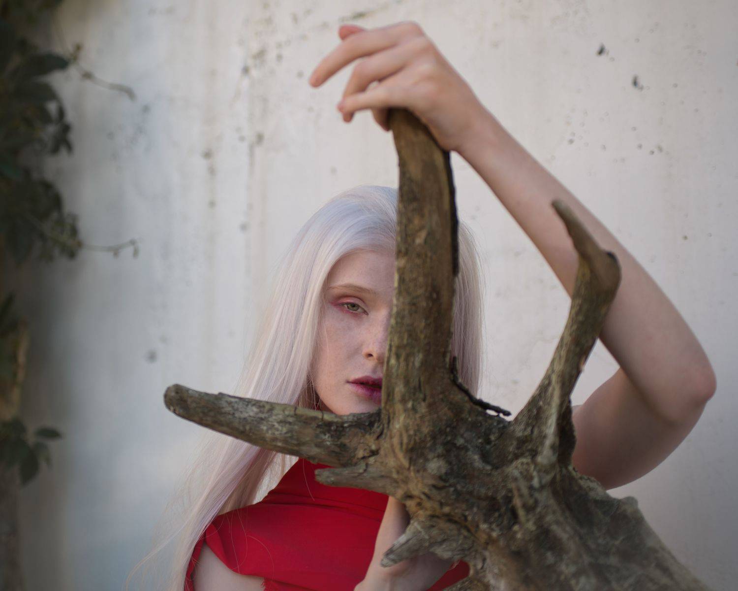 , Ольга Лобачёва