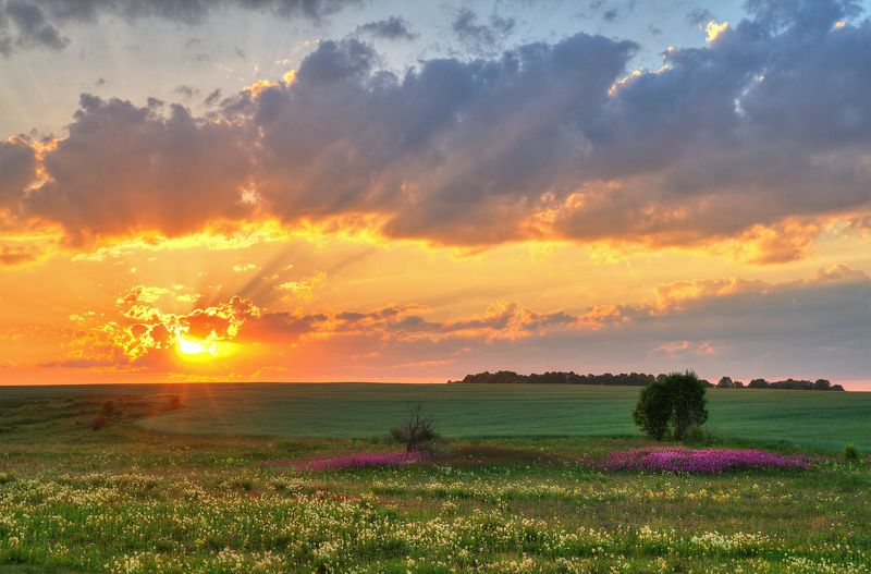 Закат в июле фото превью