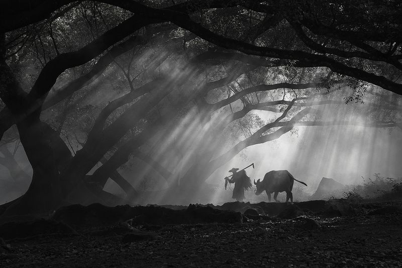 Good morning! фото превью