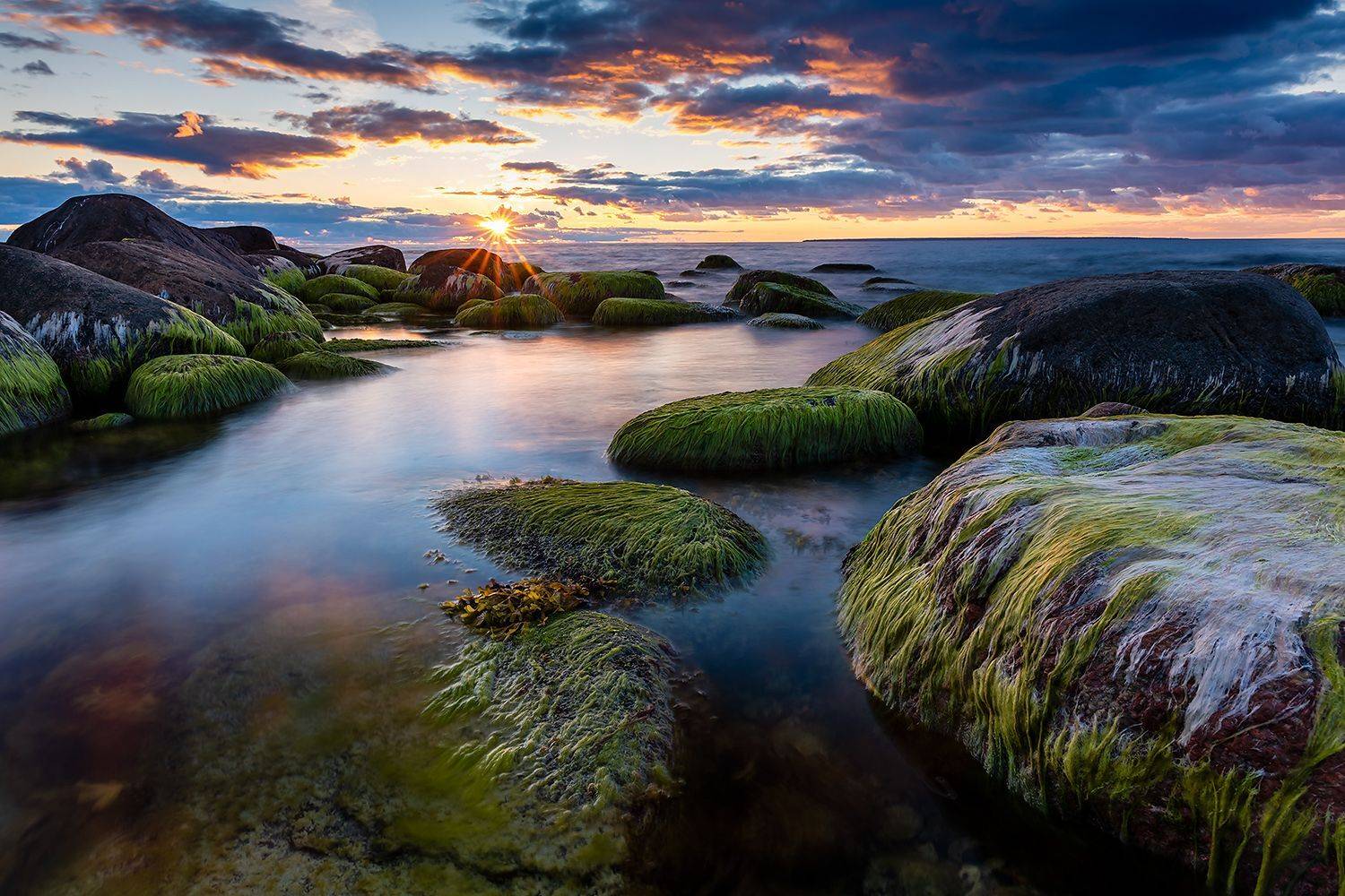 , Александр Абросимов