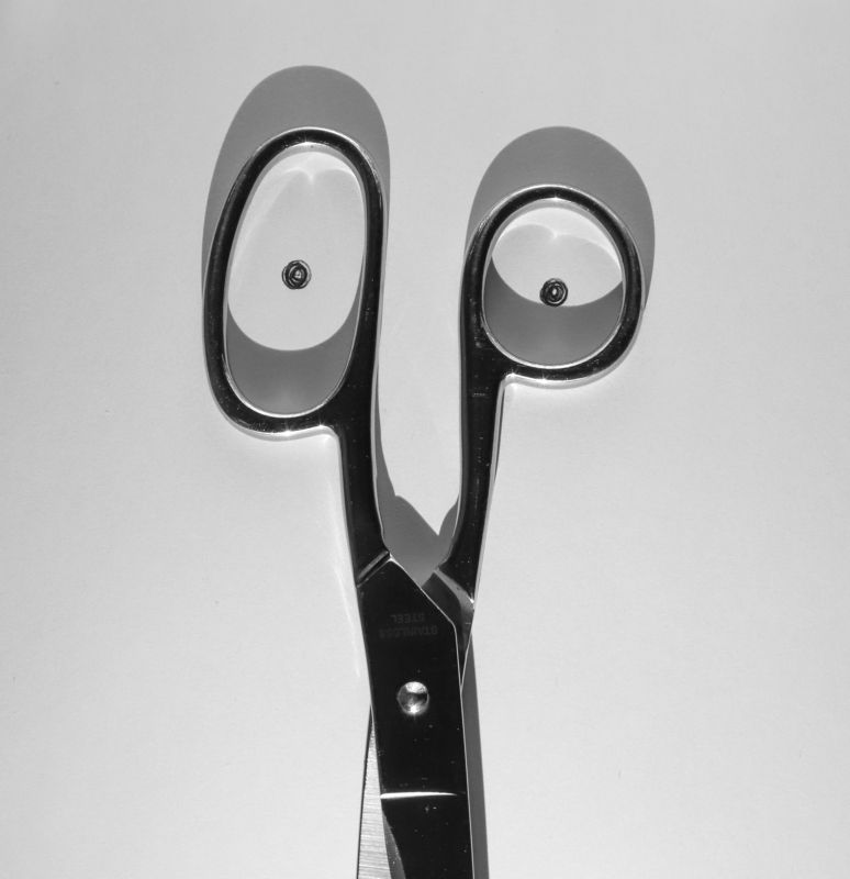 ножницы Портрет ножниц фото превью