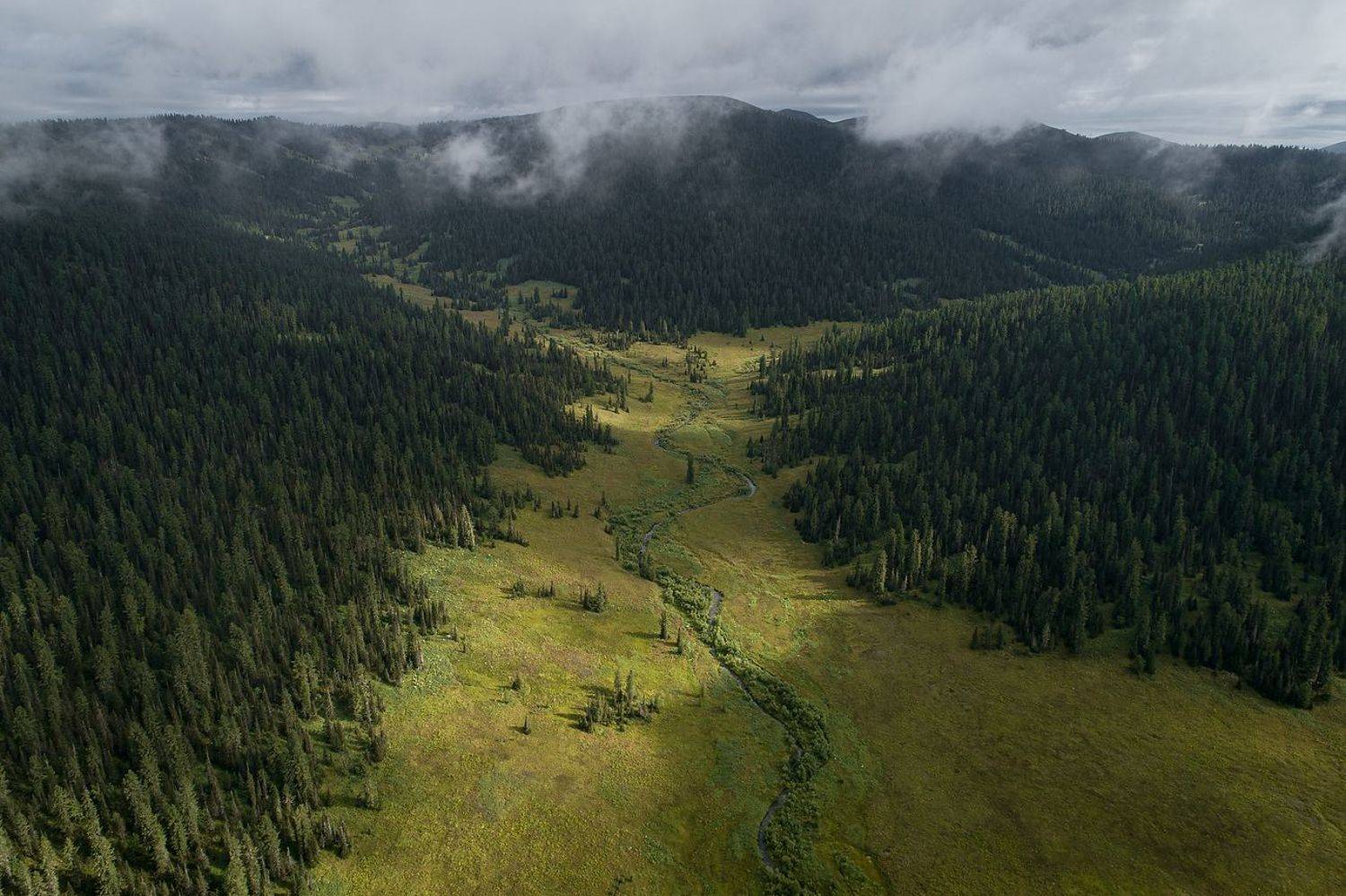 Ергаки, Нерозя, Саяны, Сибирь, лес, пейзаж, туман, Александр Нерозя