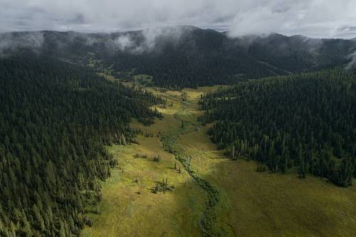 Страна хоббитов