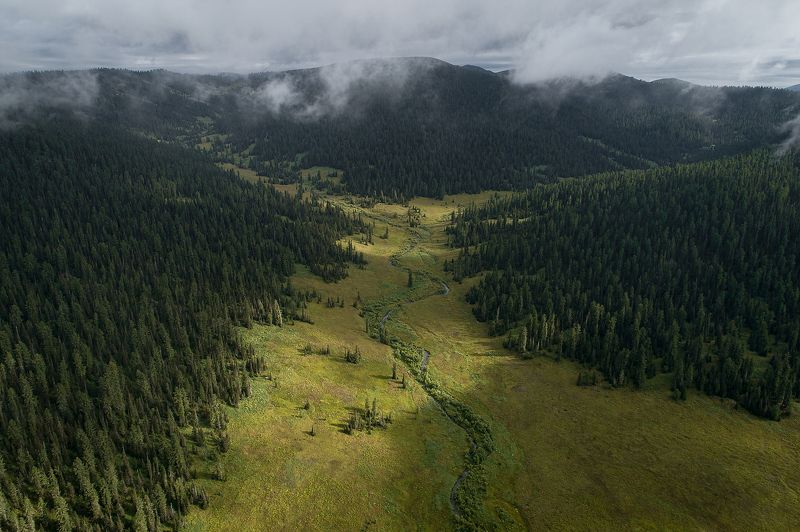 Ергаки, Нерозя, Саяны, Сибирь, лес, пейзаж, туман Страна хоббитов фото превью