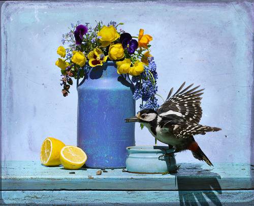 Натюрморт с синим бидоном