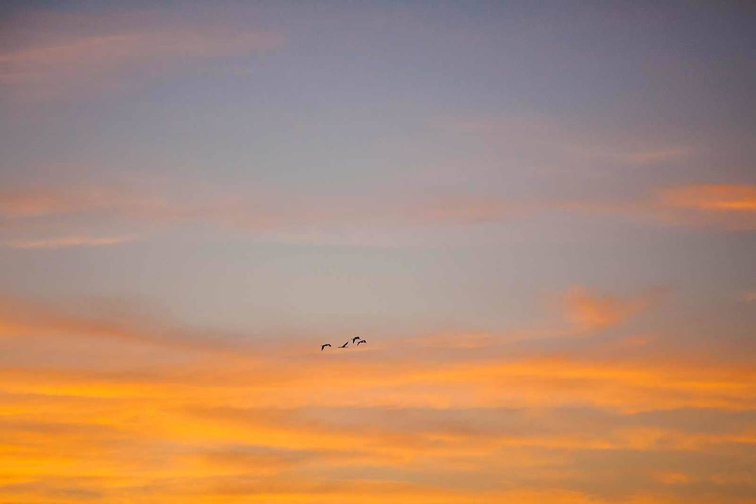 , Напалкин Станислав