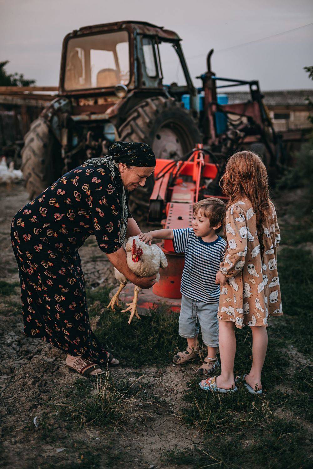 , Дарья Шевченко