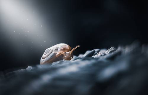 Один в ночи