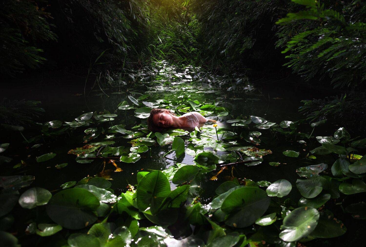 , Александр Суховеев