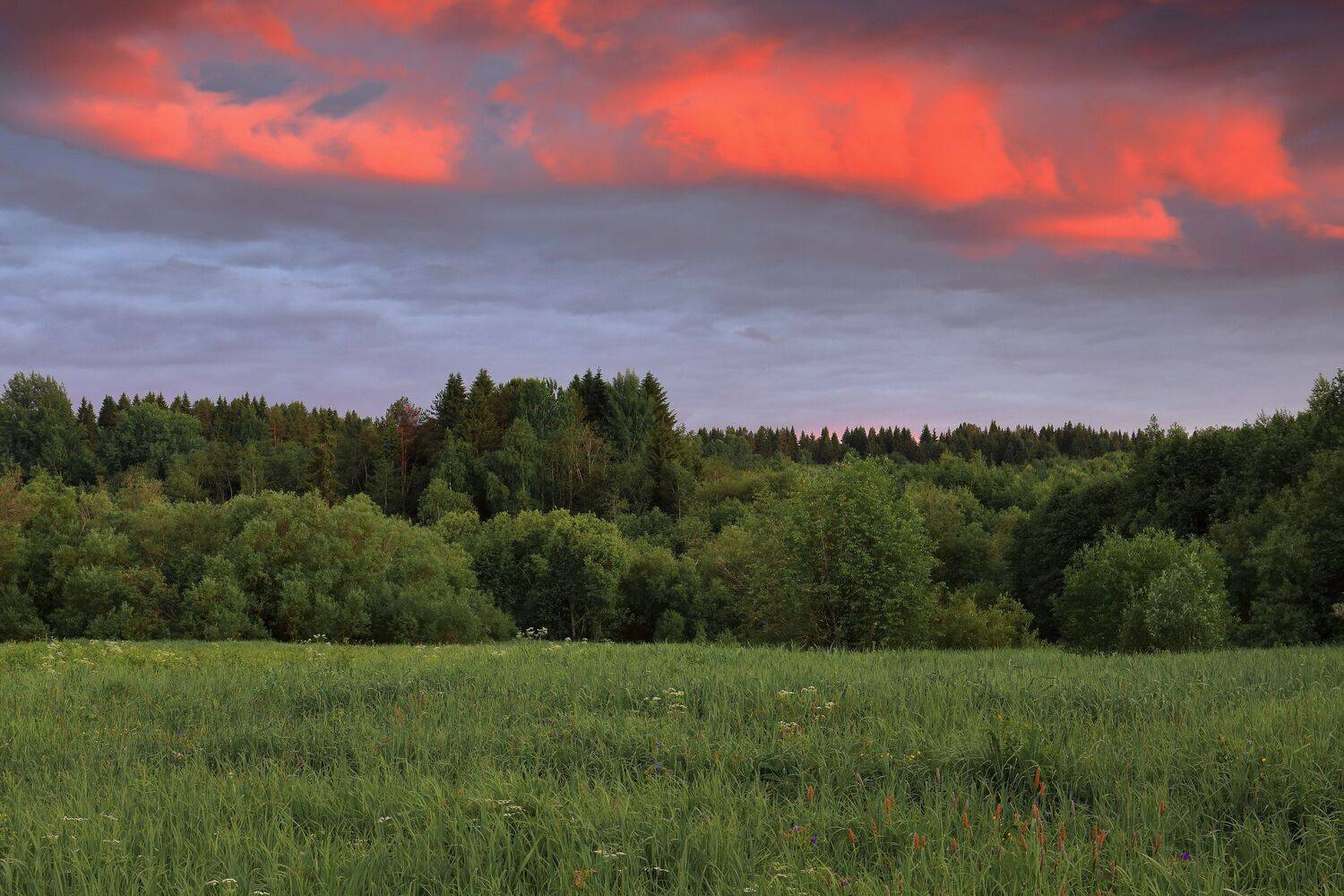 вечер, природа, закат, облака, лес, небо, свет, Титов Александр