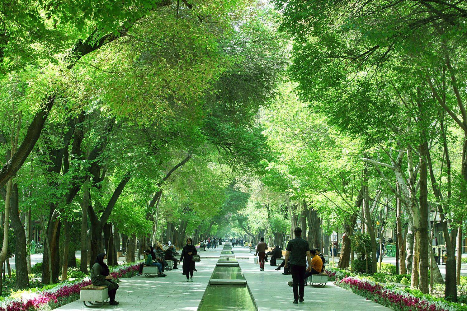 , mehdi karimi souderjani