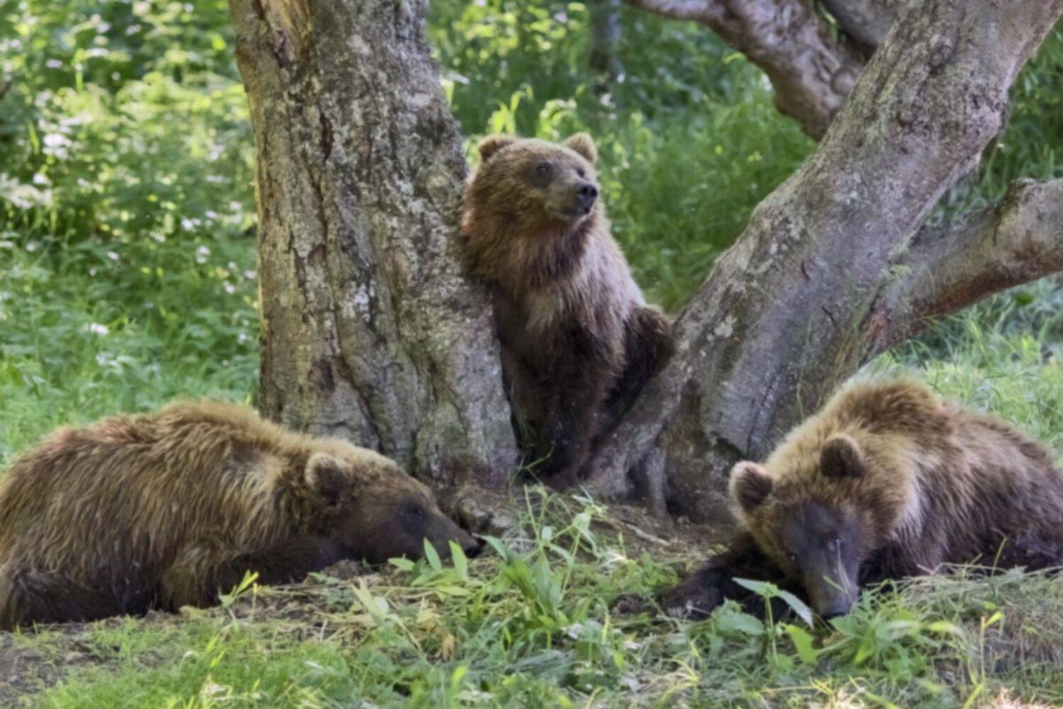 , Юрий Гордонов