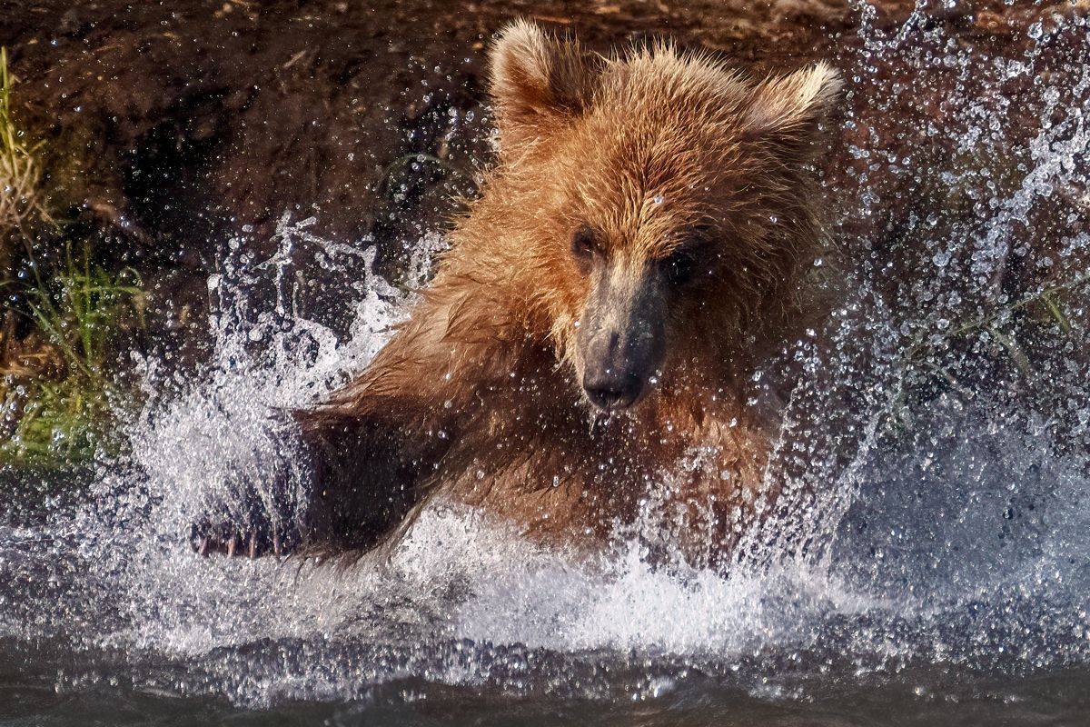 , Юрий Гордонов