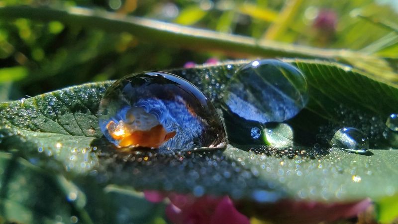 Отражение утра фото превью