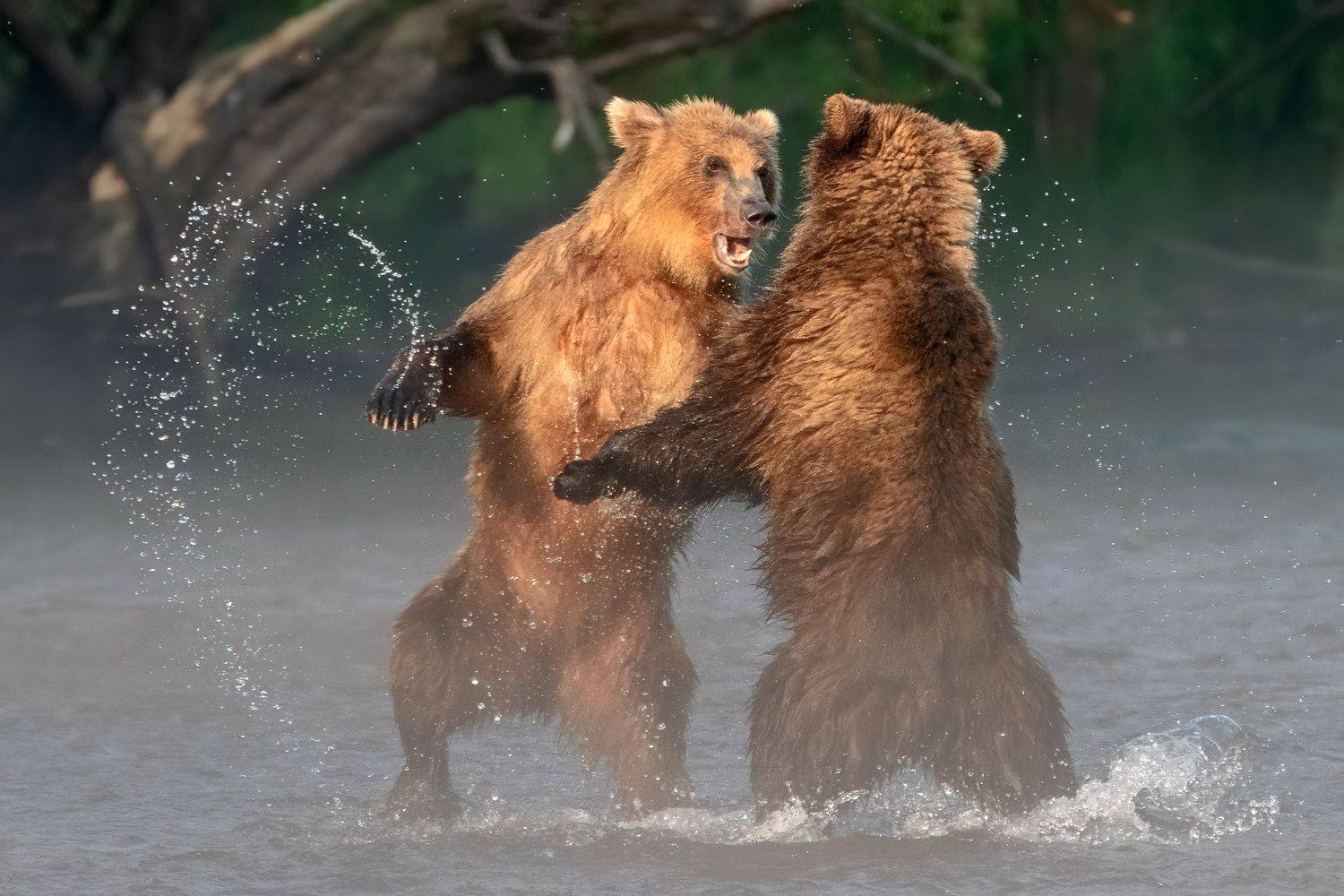 , Юрий Гордонов