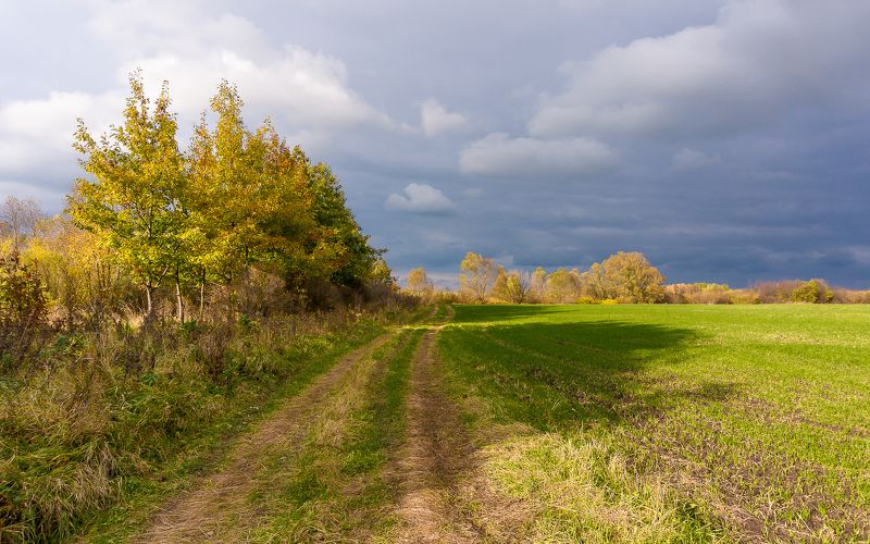 Осень фото превью