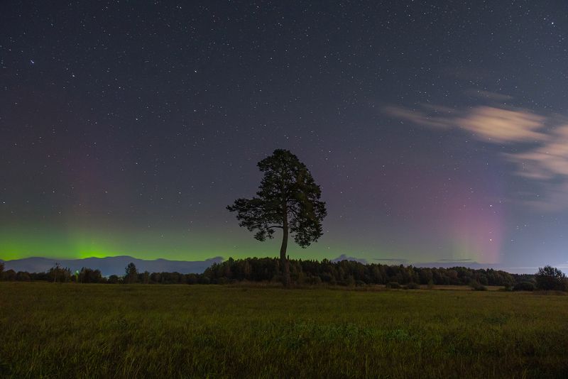 Северное сияние в Ярославской области фото превью