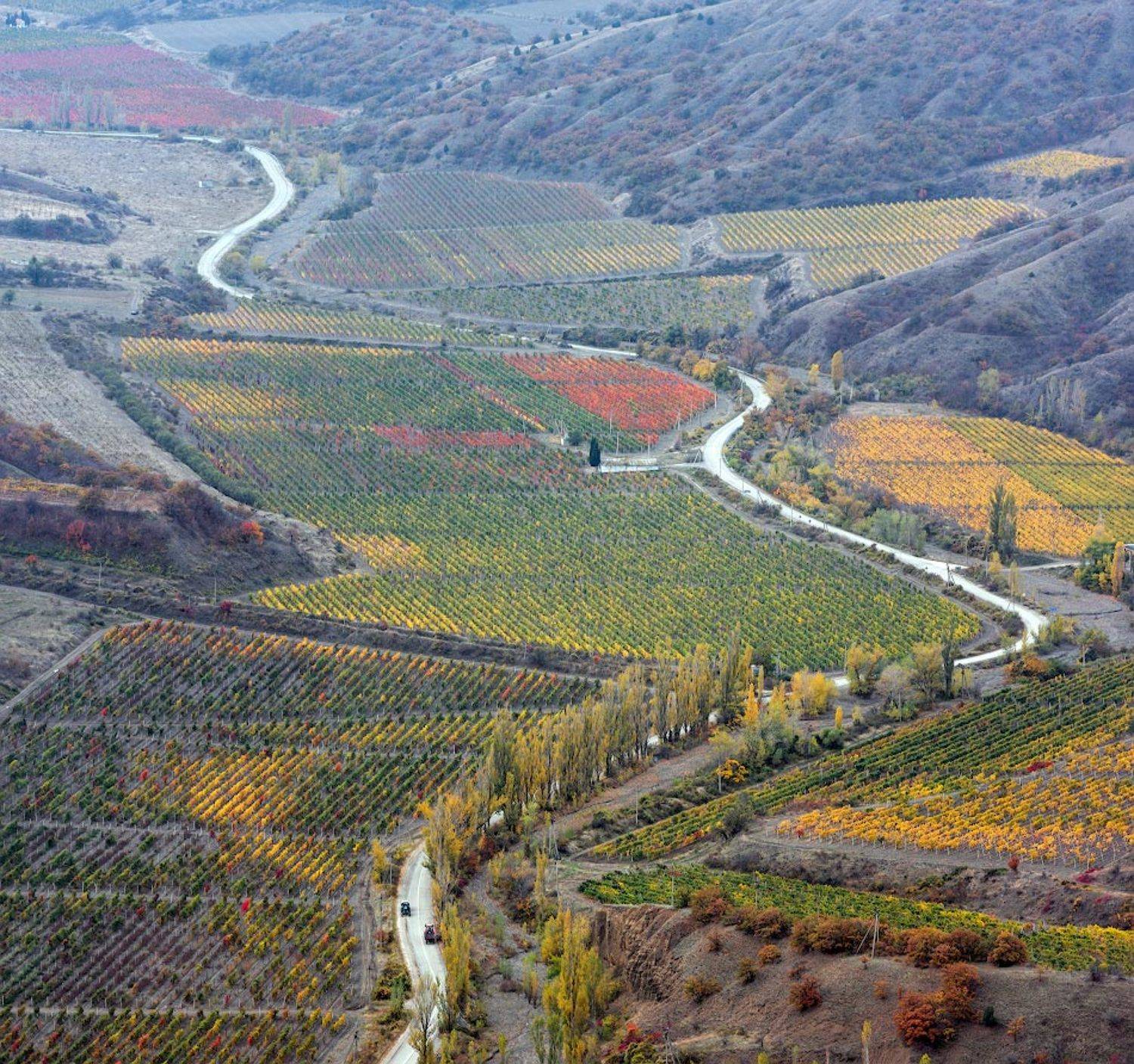 , Андрей Гусаченко