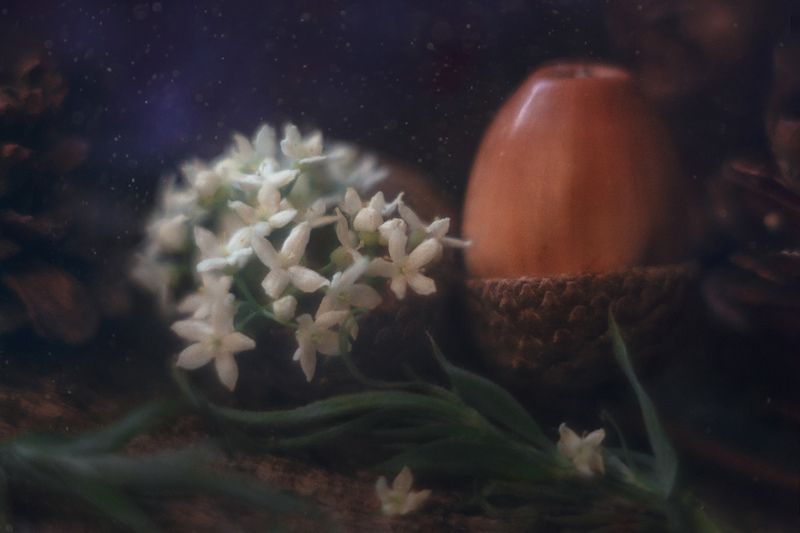 Мини натюрморт фото превью