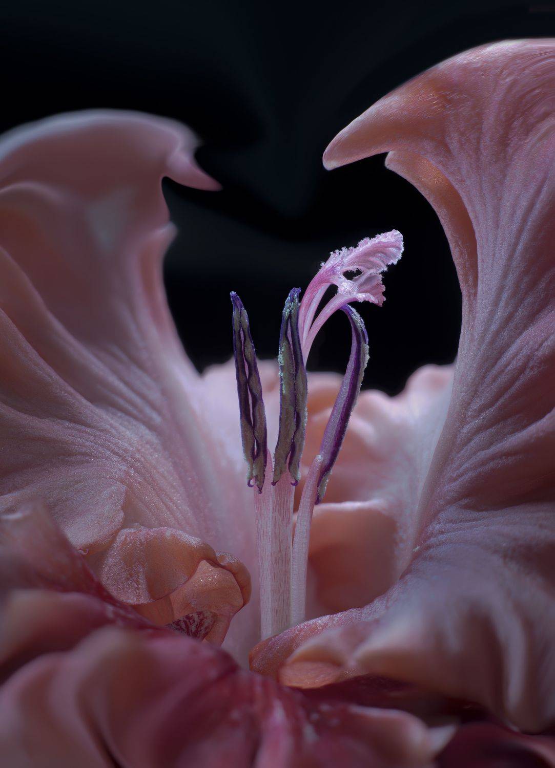 , Черновол Валентин