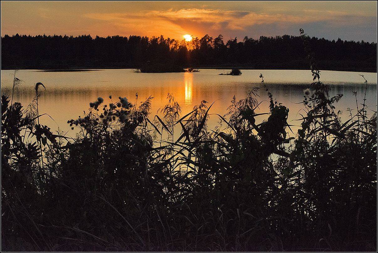 московская обл.,нарские пруды, вечер, АНАТОЛИЙ ДОВЫДЕНКО
