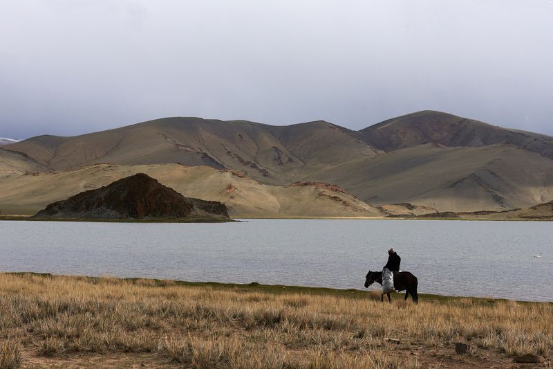 Невеселые думы фото превью