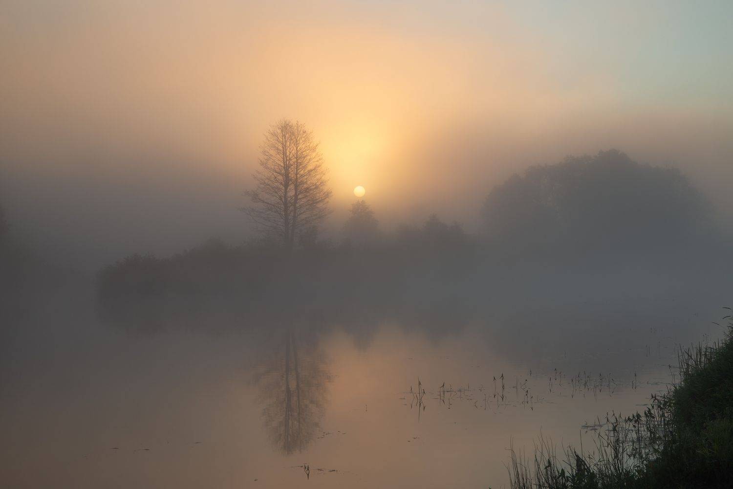 Morning by the river, Spundiņ&scaron; Vilnis