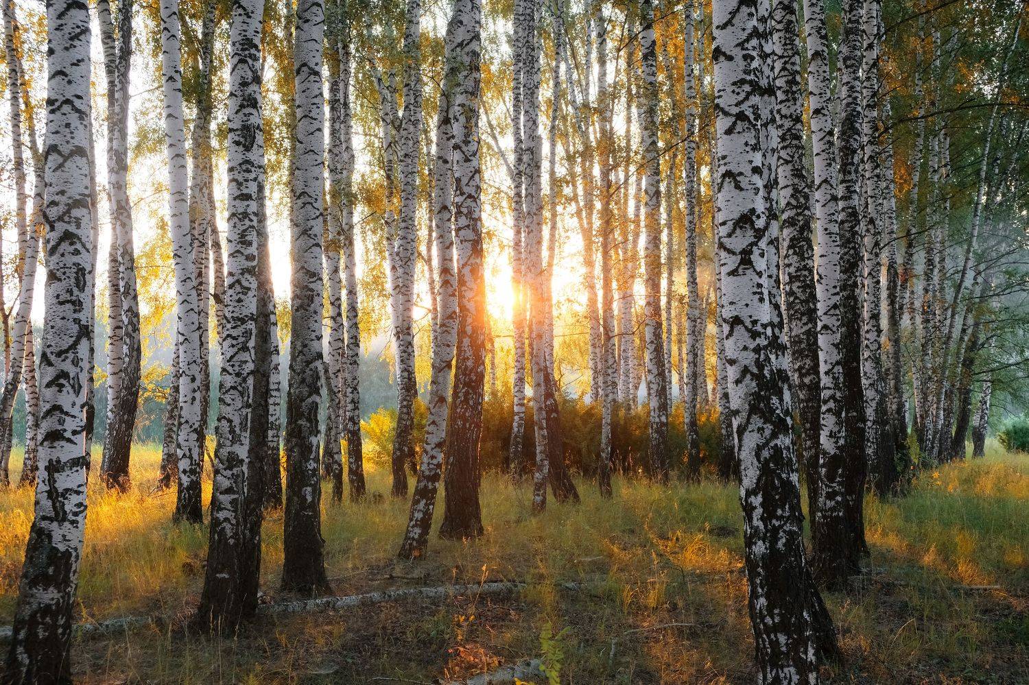 , Екатерина