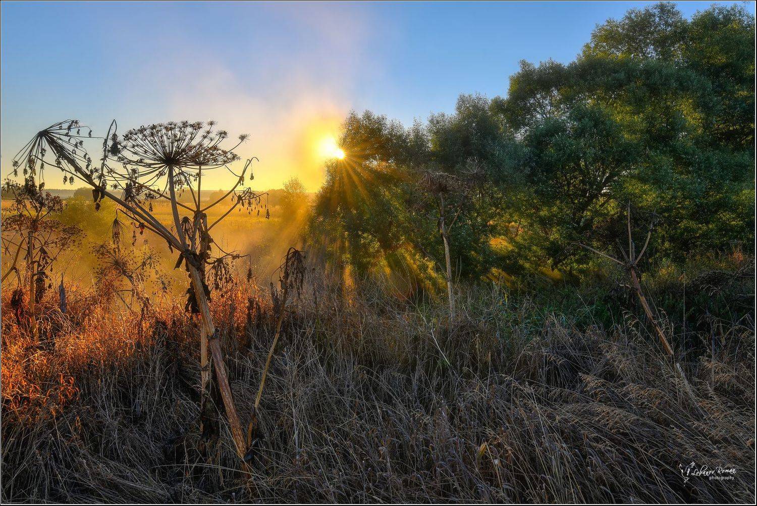 , Лобанов Роман