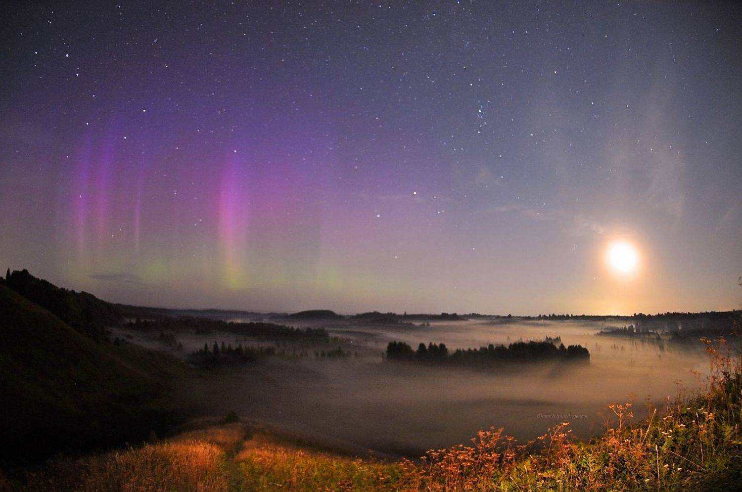 , Юрий Яковлев