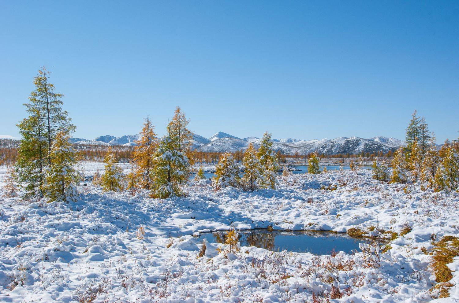 , Андрей Загребельный