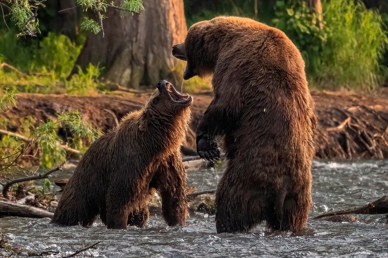 Поговорим фото превью