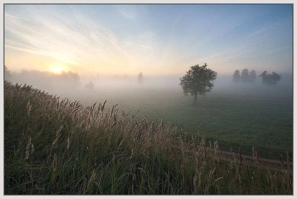 , izh Diletant (Валерий Щербина)