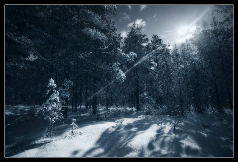 snowtime фото превью