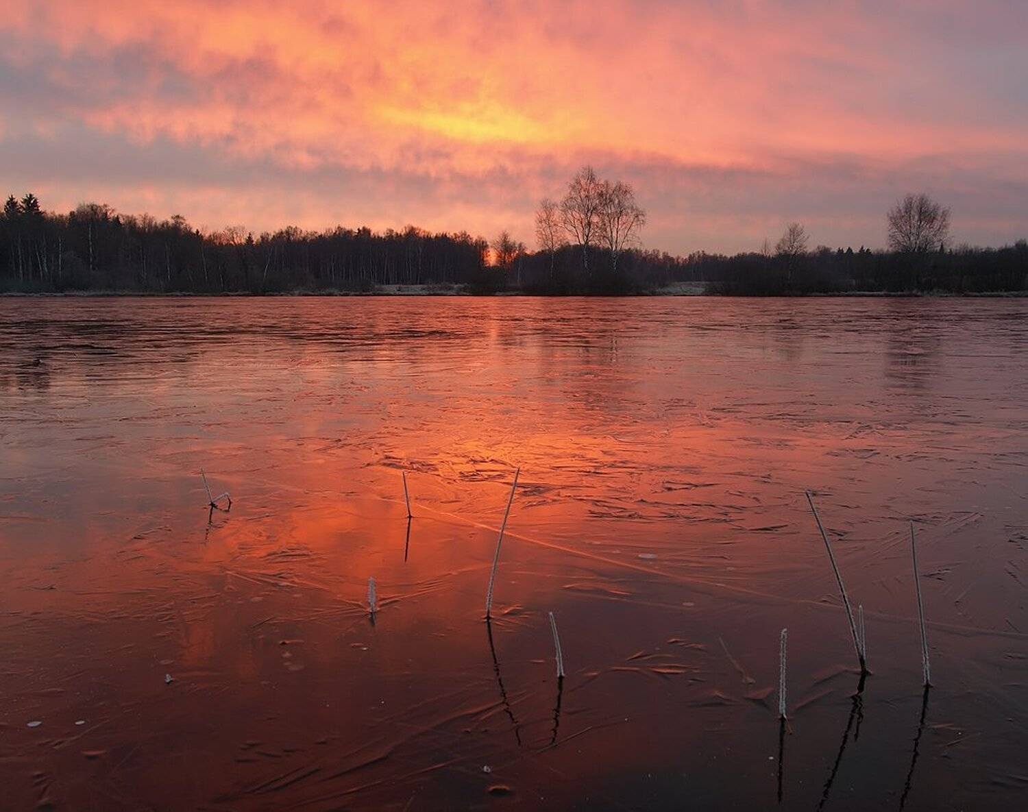 , Максим Евдокимов
