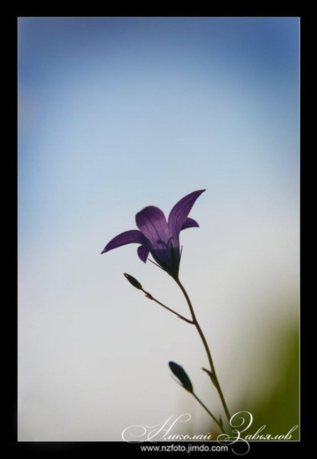 , Николай Завьялов